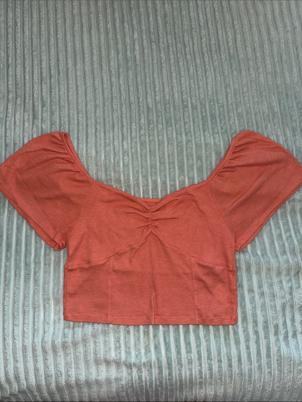 American Eagle Crop Top